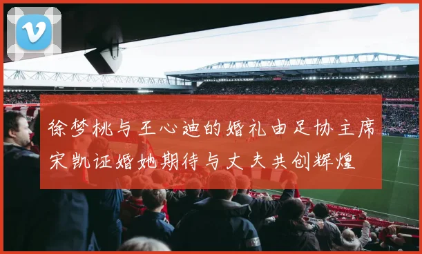 徐梦桃与王心迪的婚礼由足协主席宋凯证婚她期待与丈夫共创辉煌