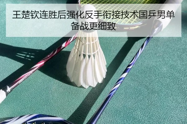 王楚钦连胜后强化反手衔接技术国乒男单备战更细致